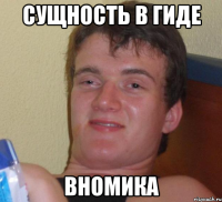 сущность в гиде вномика