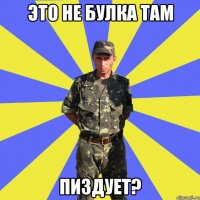 это не булка там пиздует?