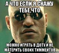 а что если я скажу тебе,что можно играть в доту и не материть своих тиммейтов