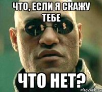 что, если я скажу тебе что нет?