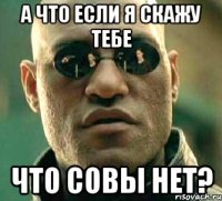 а что если я скажу тебе что совы нет?