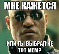 мне кажется или ты выбрал не тот мем?