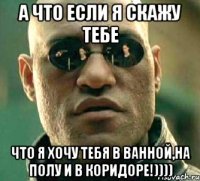 а что если я скажу тебе что я хочу тебя в ванной,на полу и в коридоре!))))