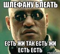 шлефану блеать есть жи так есть жи есть есть