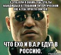 а что,если я скажу тебе,что ты находишься в глубоком литаргическом сне и тебе просто снится, что exo и b.a.p едут в россию.