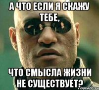 а что если я скажу тебе, что смысла жизни не существует?