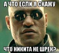 а что если я скажу что никита не шрек?