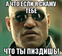 а что если я скажу тебе что ты пиздишь!