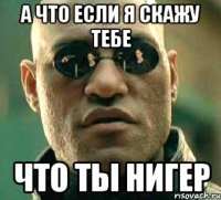 а что если я скажу тебе что ты нигер