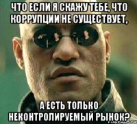 что если я скажу тебе, что коррупции не существует, а есть только неконтролируемый рынок?