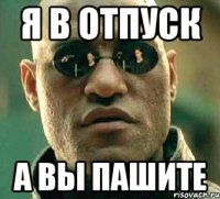 я в отпуск а вы пашите