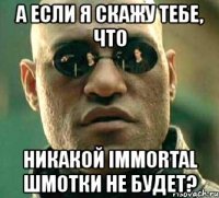 а если я скажу тебе, что никакой immortal шмотки не будет?