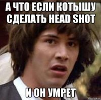 а что если котышу сделать head shot и он умрет