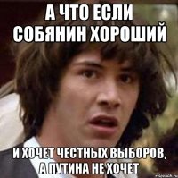 а что если собянин хороший и хочет честных выборов, а путина не хочет