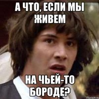 а что, если мы живем на чьей-то бороде?