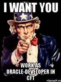 i want you work as oracle-developer in cft