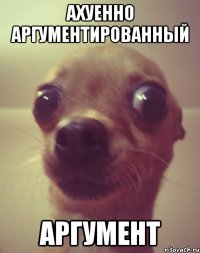 ахуенно аргументированный аргумент