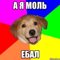 а я моль ебал