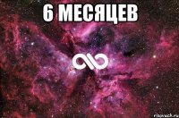 6 месяцев 