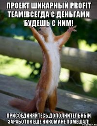 проект шикарный profit team!всегда с деньгами будешь с ним! присоединяйтесь,дополнительный заработок еще никому не помешал!