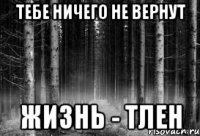 тебе ничего не вернут жизнь - тлен