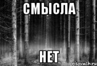 смысла нет