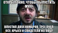 открыл окно, чтобы выпустить муху. впустил двух комаров, трех пчел, осу, крысу и свидетеля иеговы!