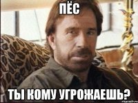 пёс ты кому угрожаешь?