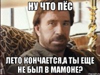 ну что пёс лето кончается,а ты еще не был в мамоне?