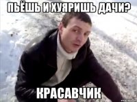 пьёшь и хуяришь дачи? красавчик