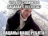 что вы скажите о пацанах с лесхоза? пацаны ваще ребята!