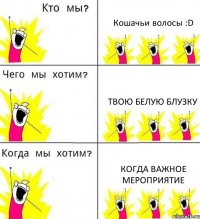 Кошачьи волосы :D Твою белую блузку Когда важное мероприятие
