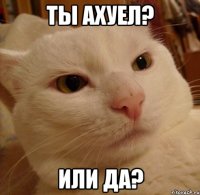 ты ахуел? или да?