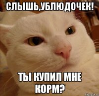 слышь,ублюдочек! ты купил мне корм?