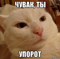 чувак, ты упорот