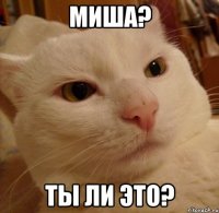 миша? ты ли это?