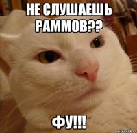 не слушаешь раммов?? фу!!!