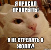 я просил прикрыть! а не стрелять в жолпу!