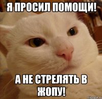 я просил помощи! а не стрелять в жопу!