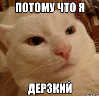 потому что я дерзкий