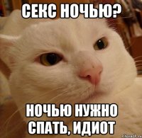 секс ночью? ночью нужно спать, идиот
