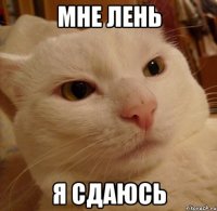 мне лень я сдаюсь