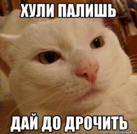 хули палишь дай до дрочить