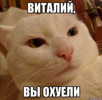 виталий, вы охуели