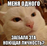 меня одного заебала эта ноющая личность?