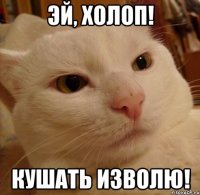эй, холоп! кушать изволю!