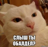 слыш ты обалдел?