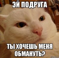 эй подруга ты хочешь меня обмануть?