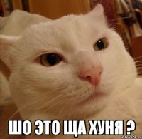  шо это ща хуня ?