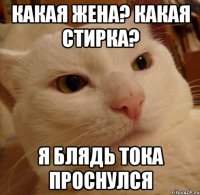 какая жена? какая стирка? я блядь тока проснулся